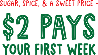 Wrap up a great deal with 50% OFF your first monthly payment.