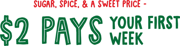 Wrap up a great deal with 50% OFF your first monthly payment.