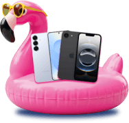 Flamingo
